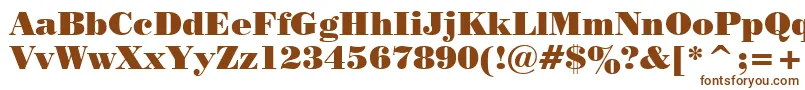 Tt0129c Font – Brown Fonts on White Background