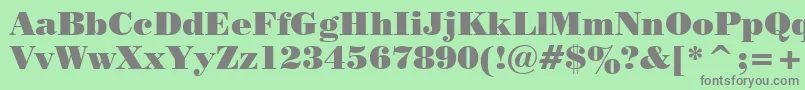 Tt0129c Font – Gray Fonts on Green Background