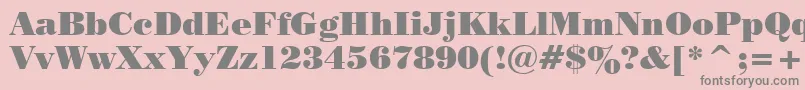 Tt0129c Font – Gray Fonts on Pink Background