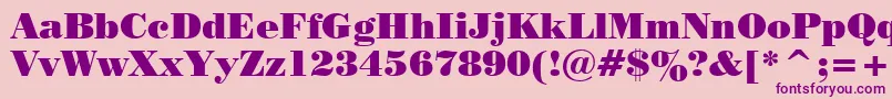 Tt0129c Font – Purple Fonts on Pink Background