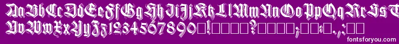 Killigrewstacatto Font – White Fonts on Purple Background