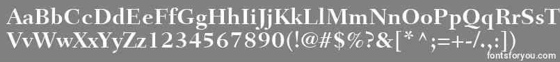 フォントFairfieldLt75Bold – 灰色の背景に白い文字