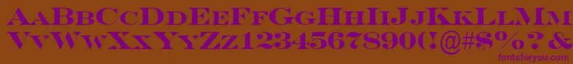 SeriferexpcpsBold Font – Purple Fonts on Brown Background