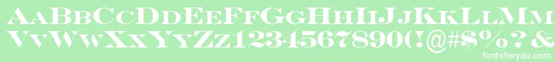 フォントSeriferexpcpsBold – 緑の背景に白い文字