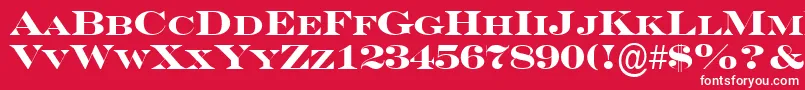 SeriferexpcpsBold Font – White Fonts on Red Background