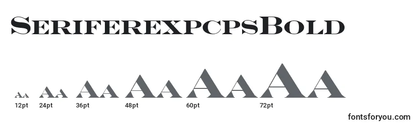 SeriferexpcpsBold Font Sizes