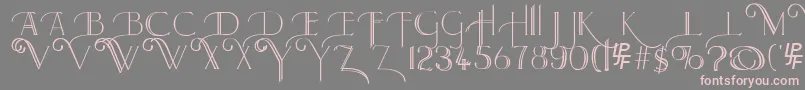 Larkin Font – Pink Fonts on Gray Background