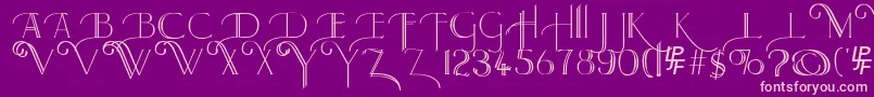 Larkin Font – Pink Fonts on Purple Background