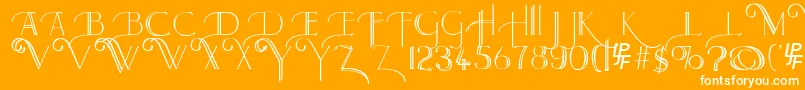 Larkin Font – White Fonts on Orange Background