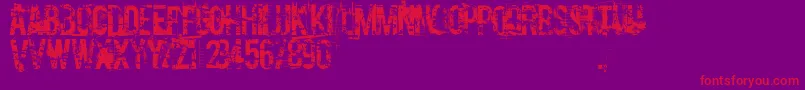 CocaineNosejob Font – Red Fonts on Purple Background