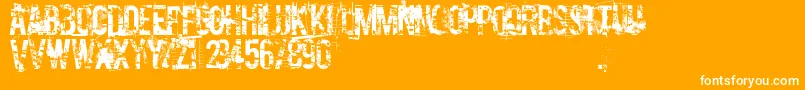 CocaineNosejob Font – White Fonts on Orange Background