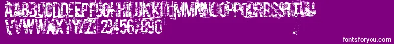CocaineNosejob Font – White Fonts on Purple Background