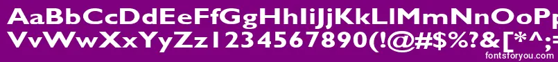 Quarter1 Font – White Fonts on Purple Background