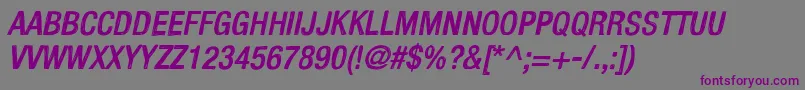 KelpoticoItalic Font – Purple Fonts on Gray Background