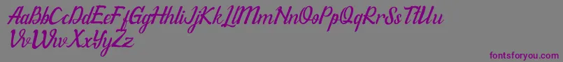 WillonaItalicPu Font – Purple Fonts on Gray Background