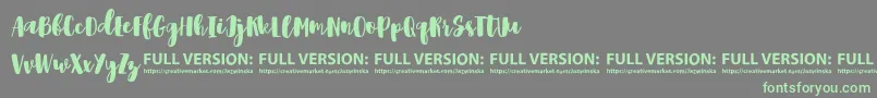 Shrewdy Font – Green Fonts on Gray Background