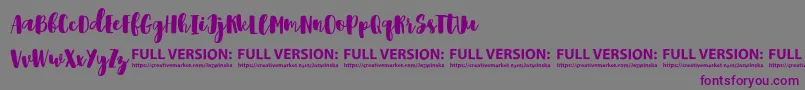 Shrewdy Font – Purple Fonts on Gray Background