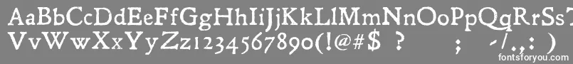 フォントLeander – 灰色の背景に白い文字