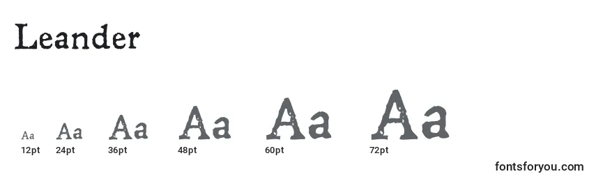 Leander Font Sizes