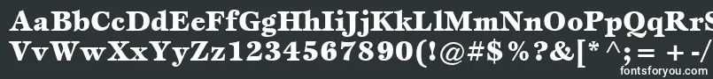 Шрифт ItcEspritLtBlack – белые шрифты