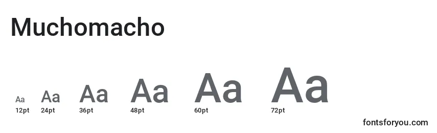 Muchomacho Font Sizes