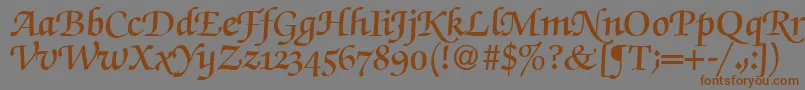 fuente ZabriskiescriptswashdemiRegularDb – Fuentes Marrones Sobre Fondo Gris