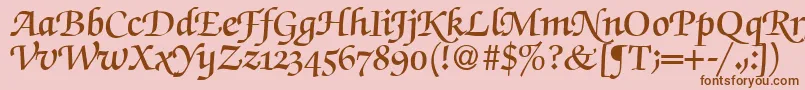 フォントZabriskiescriptswashdemiRegularDb – ピンクの背景に茶色のフォント