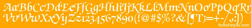 ZabriskiescriptswashdemiRegularDb-Schriftart – Weiße Schriften auf orangefarbenem Hintergrund