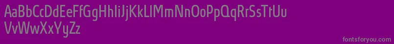AbsolutProBookcondensed Font – Gray Fonts on Purple Background