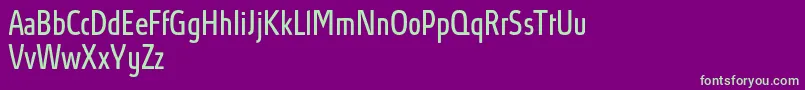 AbsolutProBookcondensed Font – Green Fonts on Purple Background