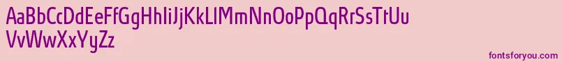 AbsolutProBookcondensed Font – Purple Fonts on Pink Background