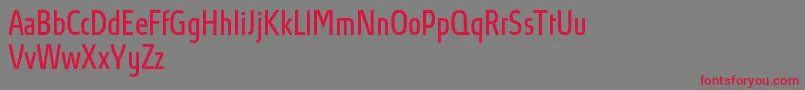 AbsolutProBookcondensed Font – Red Fonts on Gray Background