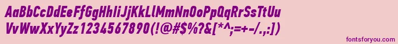 PfdintextcompproBolditalic Font – Purple Fonts on Pink Background