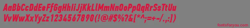 PfdintextcompproBolditalic Font – Red Fonts on Gray Background