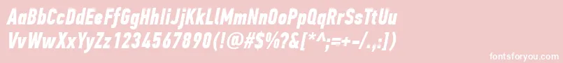 PfdintextcompproBolditalic Font – White Fonts on Pink Background