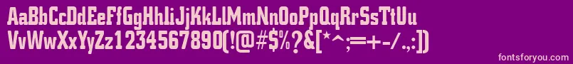 K.O.ActivistaFont Font – Pink Fonts on Purple Background