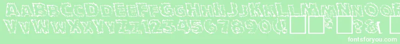 JulyFourthNormal Font – White Fonts on Green Background