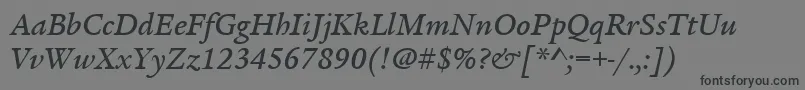 フォントItcLegacySerifLtMediumItalic – 黒い文字の灰色の背景