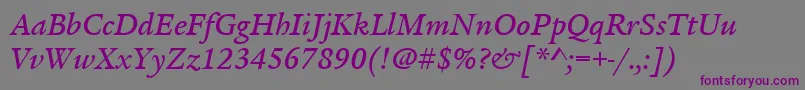 フォントItcLegacySerifLtMediumItalic – 紫色のフォント、灰色の背景