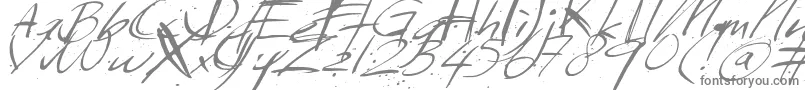Sundaymonday Font – Gray Fonts on White Background