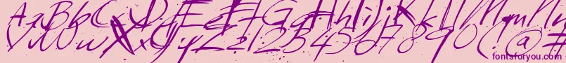 Sundaymonday Font – Purple Fonts on Pink Background