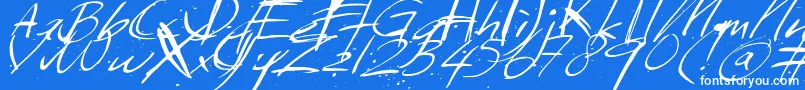 Sundaymonday Font – White Fonts on Blue Background