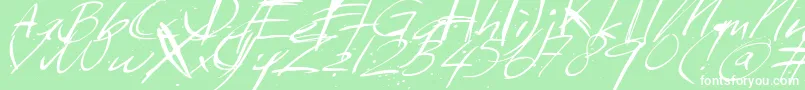 Sundaymonday Font – White Fonts on Green Background