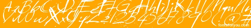 Sundaymonday Font – White Fonts on Orange Background