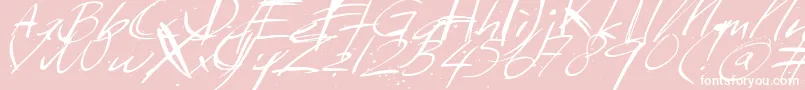 Sundaymonday Font – White Fonts on Pink Background