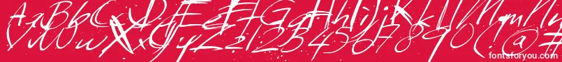 Sundaymonday Font – White Fonts on Red Background