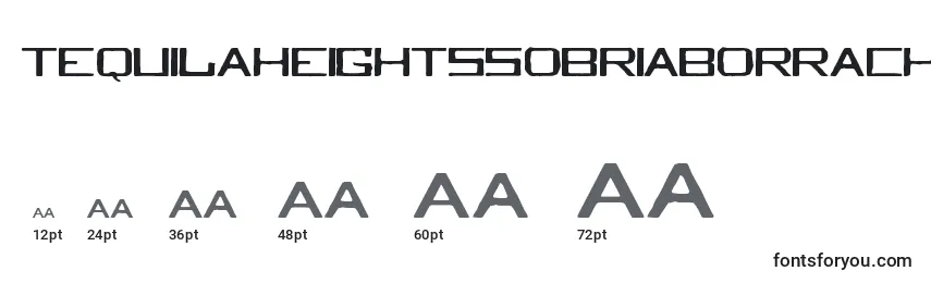 Размеры шрифта Tequilaheightssobriaborrach