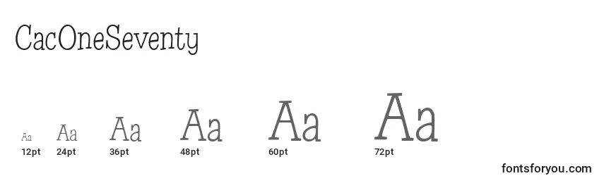 CacOneSeventy Font Sizes