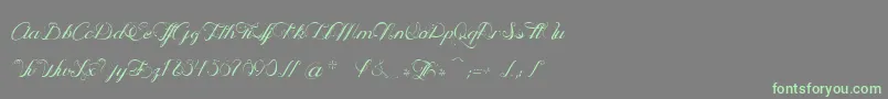 OphРІliaScript Font – Green Fonts on Gray Background