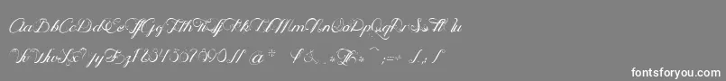 OphРІliaScript Font – White Fonts on Gray Background